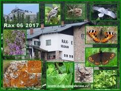Rax 1 2017